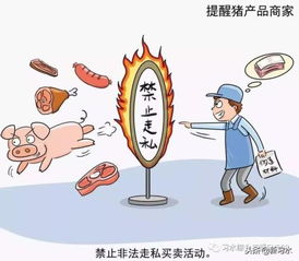 習水豬肉放心購，飼料原料供應穩——解析非洲豬瘟防控下的市場保障